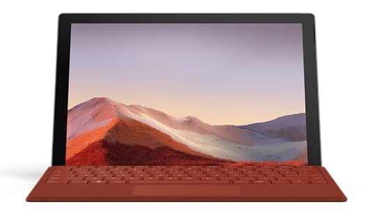 拉萨清洁和维护 Surface